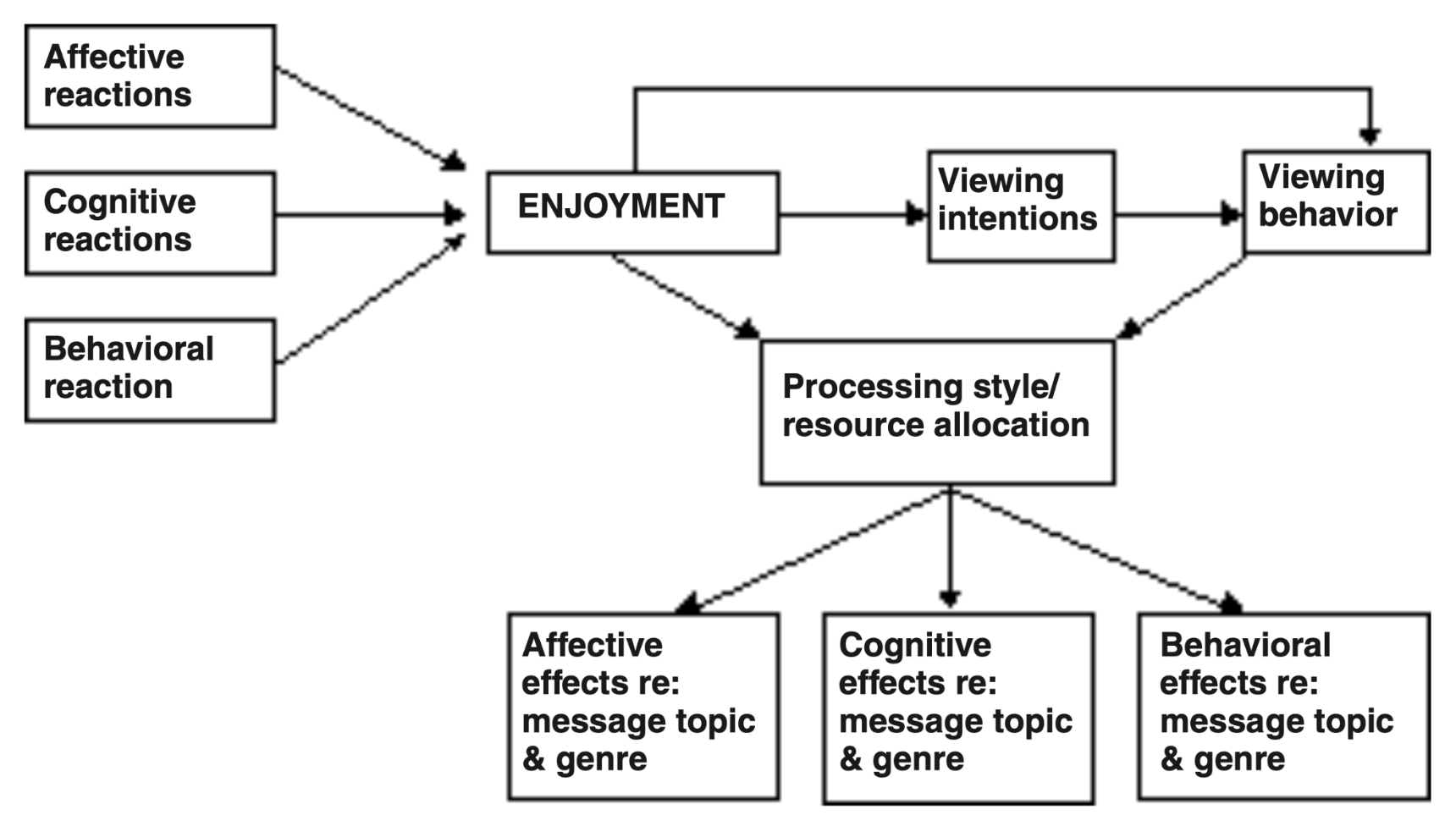 Media Enjoyment Diagram